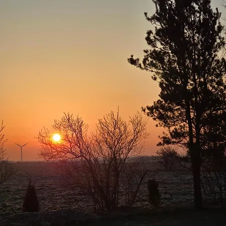 Sandra Naehe Romo In