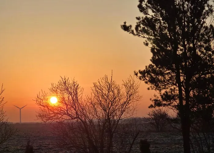 Sandra Naehe Romo In